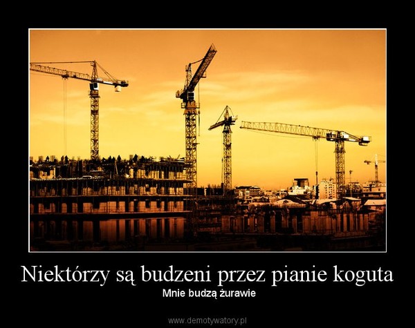 Niektórzy są budzeni przez pianie koguta –  Mnie budzą żurawie 