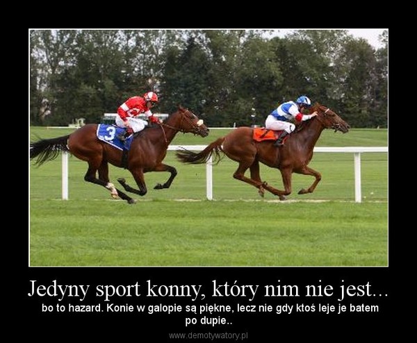 Jedyny sport konny, który nim nie jest... –  bo to hazard. Konie w galopie są piękne, lecz nie gdy ktoś leje je batempo dupie.. 