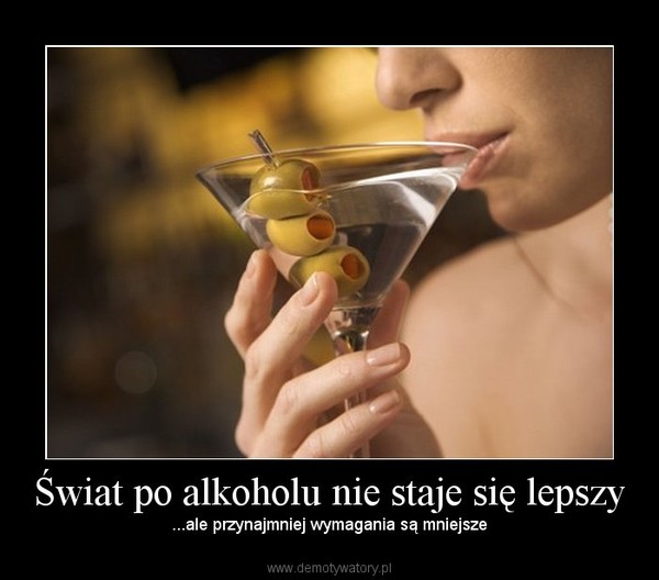Świat po alkoholu nie staje się lepszy – ...ale przynajmniej wymagania są mniejsze 