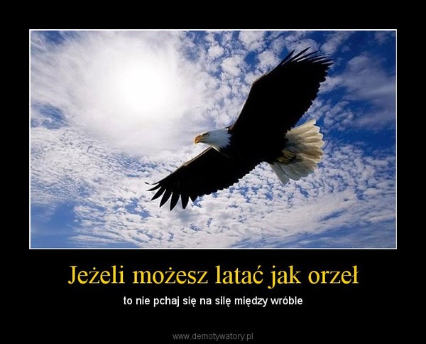 Jeżeli możesz latać jak orzeł – to nie pchaj się na silę między wróble 