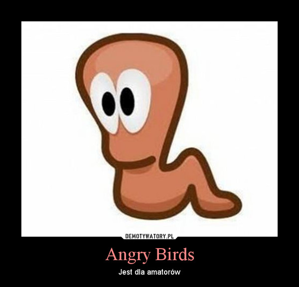 Angry Birds – Jest dla amatorów 