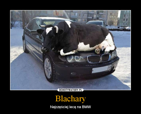 Blachary – Najczęściej lecą na BMW 