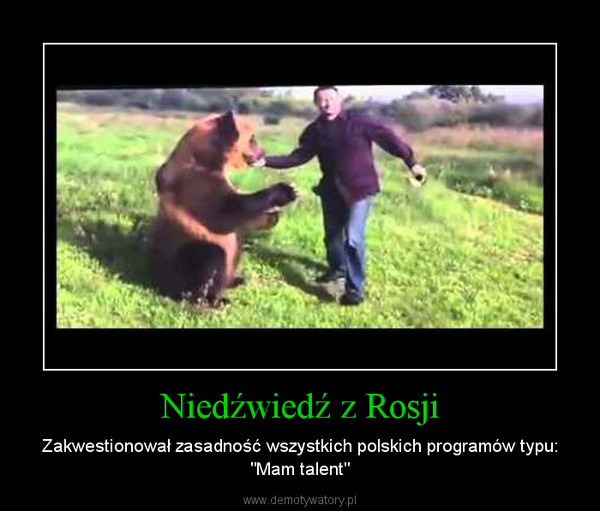 Niedźwiedź z Rosji – Zakwestionował zasadność wszystkich polskich programów typu: "Mam talent" 