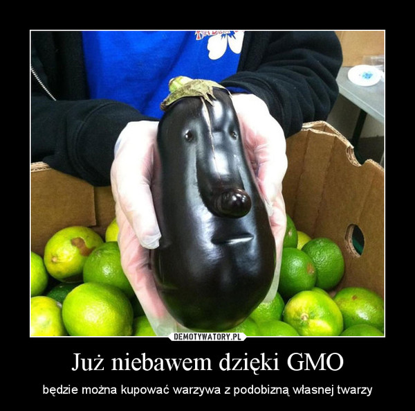 Już niebawem dzięki GMO