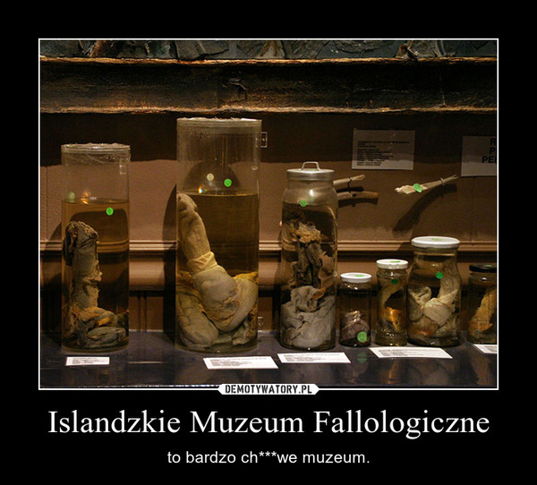 Islandzkie Muzeum Fallologiczne – to bardzo ch***we muzeum. 