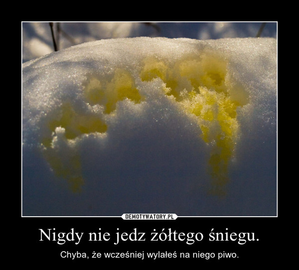 Nigdy nie jedz żółtego śniegu. – Chyba, że wcześniej wylałeś na niego piwo. 