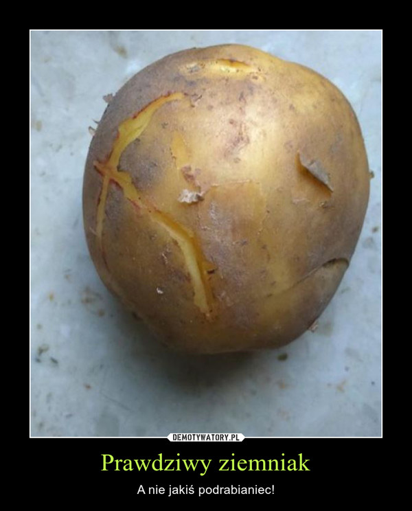 Prawdziwy ziemniak – A nie jakiś podrabianiec! 