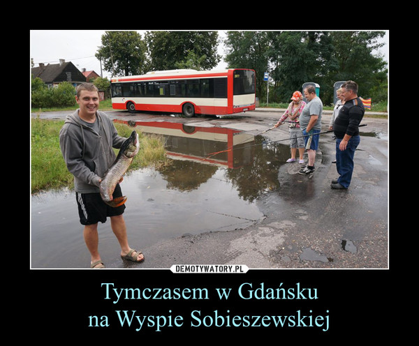 Tymczasem w Gdańskuna Wyspie Sobieszewskiej –  