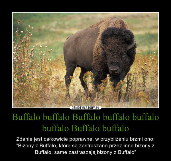 Buffalo buffalo Buffalo buffalo buffalo buffalo Buffalo buffalo – Zdanie jest całkowicie poprawne, w przybliżeniu brzmi ono:"Bizony z Buffalo, które są zastraszane przez inne bizony z Buffalo, same zastraszają bizony z Buffalo" 