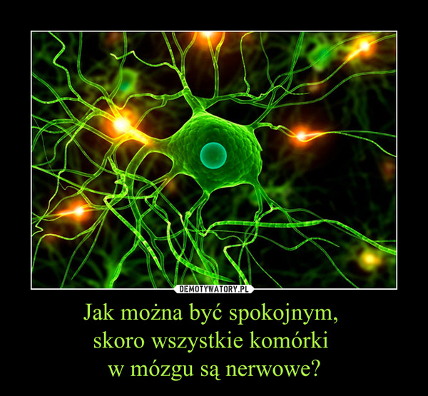 Jak można być spokojnym, 
skoro wszystkie komórki 
w mózgu są nerwowe?