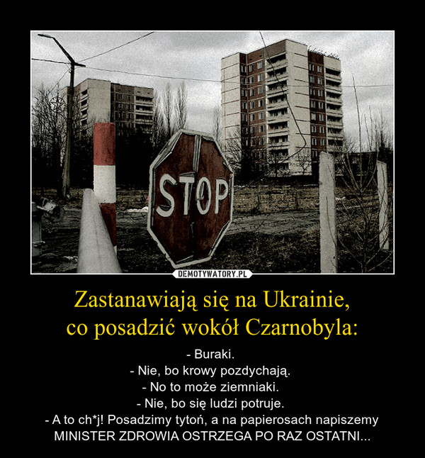 Zastanawiają się na Ukrainie,
co posadzić wokół Czarnobyla:
