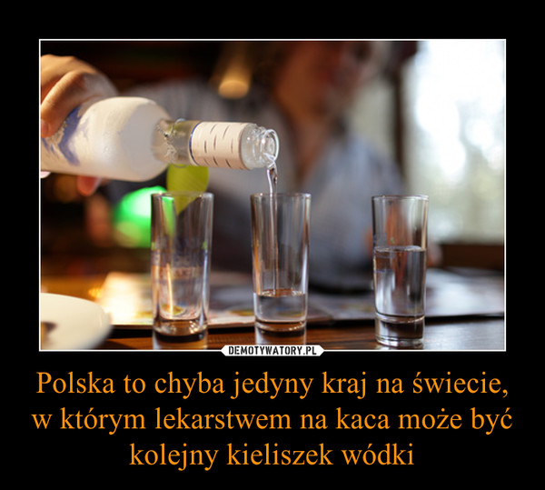 Polska to chyba jedyny kraj na świecie, w którym lekarstwem na kaca może być kolejny kieliszek wódki –  
