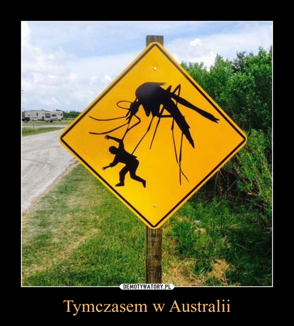 Tymczasem w Australii –  
