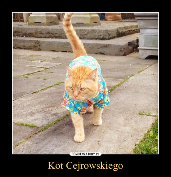 Kot Cejrowskiego –  
