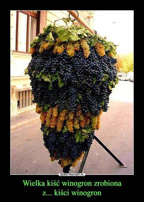 Wielka kiść winogron zrobiona
z... kiści winogron