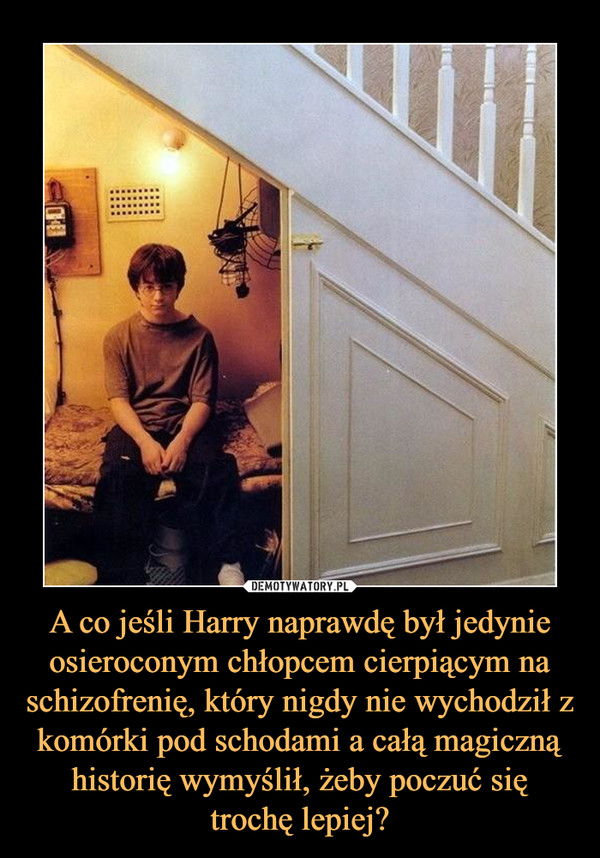 A co jeśli Harry naprawdę był jedynie osieroconym chłopcem cierpiącym na schizofrenię, który nigdy nie wychodził z komórki pod schodami a całą magiczną historię wymyślił, żeby poczuć się trochę lepiej? –  