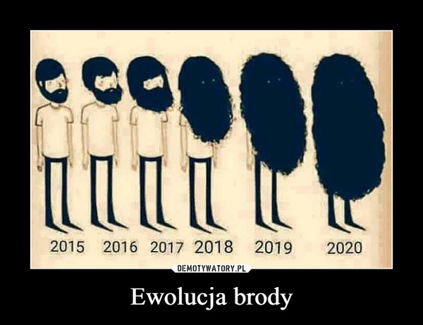 Ewolucja brody