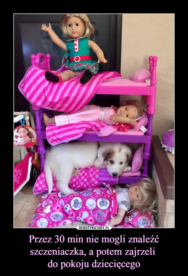 Przez 30 min nie mogli znaleźć szczeniaczka, a potem zajrzeli do pokoju dziecięcego –  