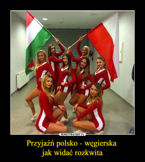 Przyjaźń polsko - węgierska 
jak widać rozkwita
