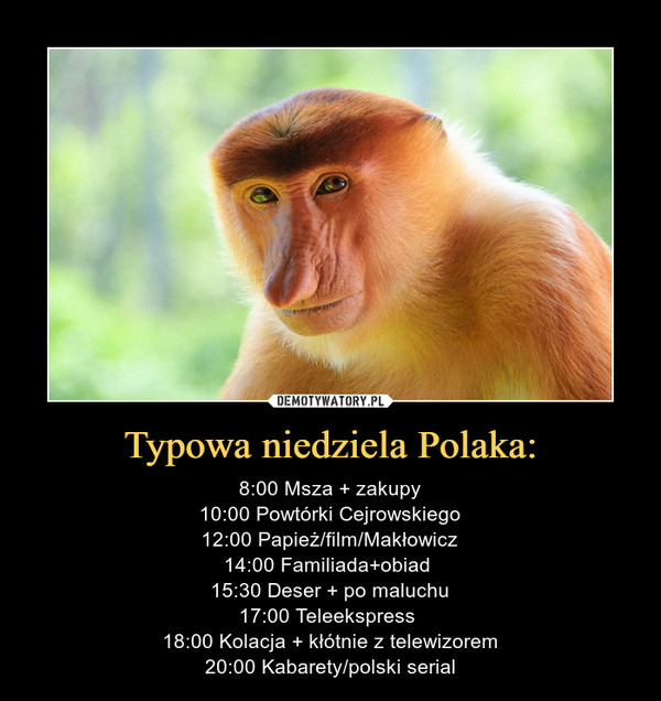 Typowa niedziela Polaka: – 8:00 Msza + zakupy10:00 Powtórki Cejrowskiego12:00 Papież/film/Makłowicz14:00 Familiada+obiad 15:30 Deser + po maluchu17:00 Teleekspress 18:00 Kolacja + kłótnie z telewizorem20:00 Kabarety/polski serial 
