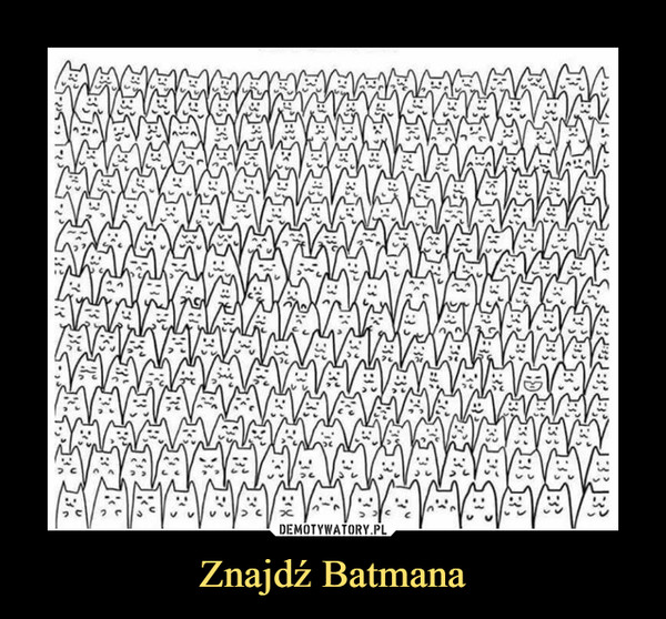 Znajdź Batmana –  