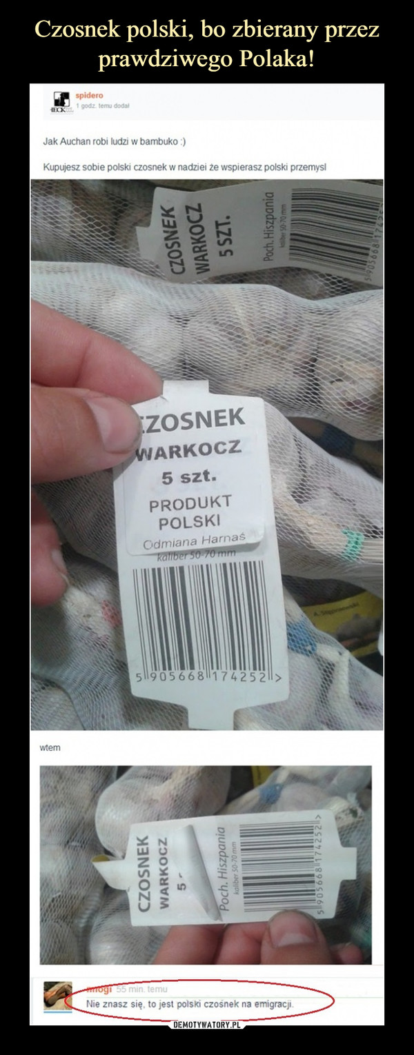  –  Jak Auchan robi ludzi w bambuko Kupujesz sobie polski czosnek w nadziei, że wspierasz polski przemysł Nie znasz się, to jest polski czosnek na emigracji