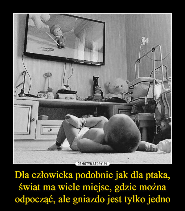 Dla człowieka podobnie jak dla ptaka, świat ma wiele miejsc, gdzie można odpocząć, ale gniazdo jest tylko jedno –  