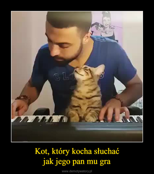 Kot, który kocha słuchaćjak jego pan mu gra –  