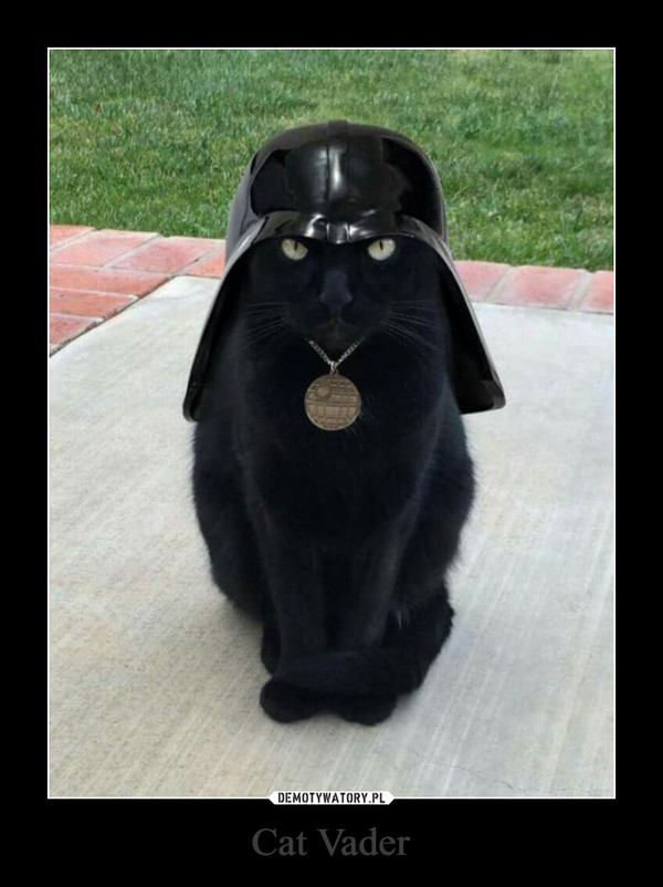 Cat Vader –  