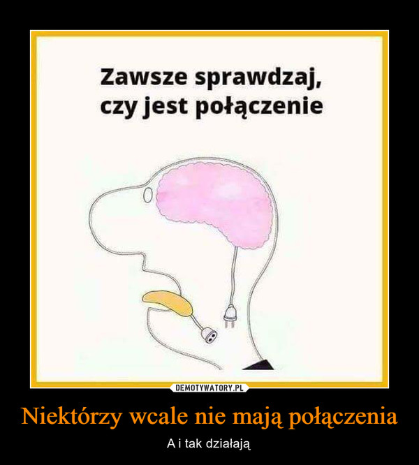 Niektórzy wcale nie mają połączenia – A i tak działają Zawsze sprawdzaj, czy jest połączenie