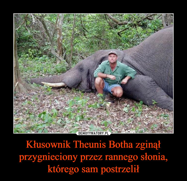 Kłusownik Theunis Botha zginął przygnieciony przez rannego słonia, którego sam postrzelił