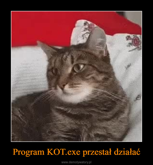 Program KOT.exe przestał działać –  