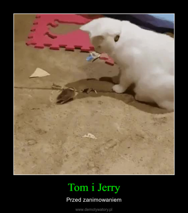 Tom i Jerry – Przed zanimowaniem 