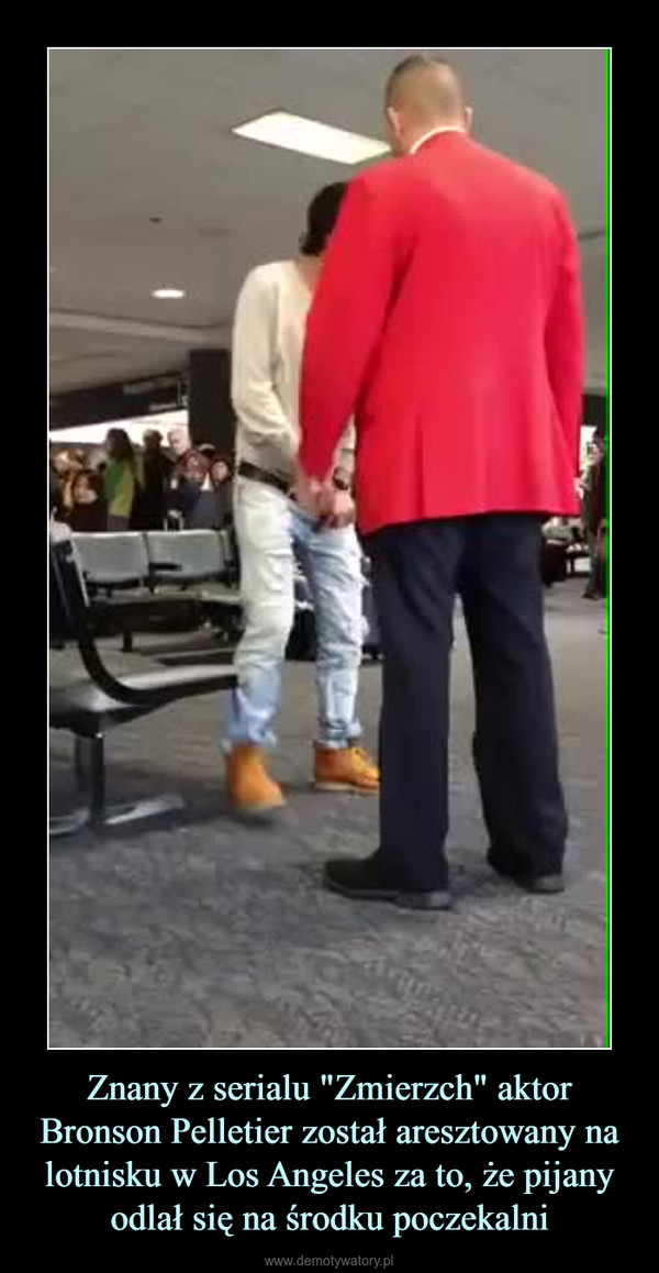 Znany z serialu "Zmierzch" aktor Bronson Pelletier został aresztowany na lotnisku w Los Angeles za to, że pijany odlał się na środku poczekalni –  