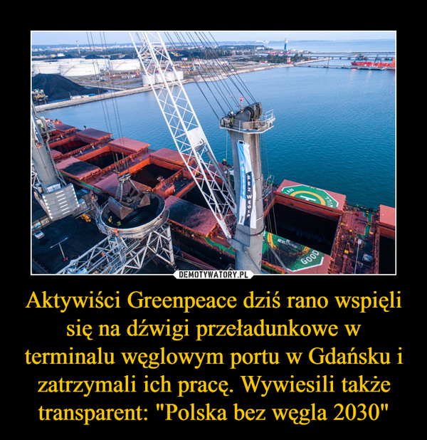 Aktywiści Greenpeace dziś rano wspięli się na dźwigi przeładunkowe w terminalu węglowym portu w Gdańsku i zatrzymali ich pracę. Wywiesili także transparent: "Polska bez węgla 2030" –  
