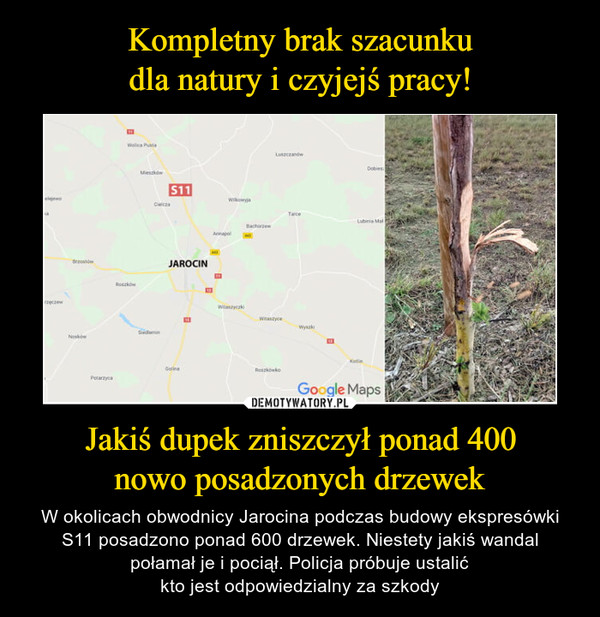 Jakiś dupek zniszczył ponad 400nowo posadzonych drzewek – W okolicach obwodnicy Jarocina podczas budowy ekspresówki S11 posadzono ponad 600 drzewek. Niestety jakiś wandalpołamał je i pociął. Policja próbuje ustalićkto jest odpowiedzialny za szkody 