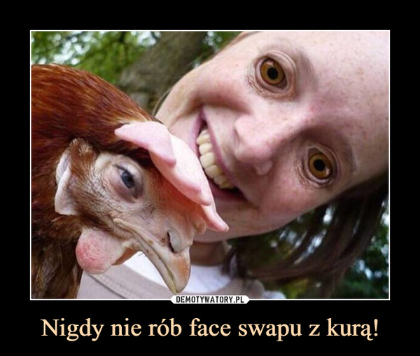 Nigdy nie rób face swapu z kurą! –  