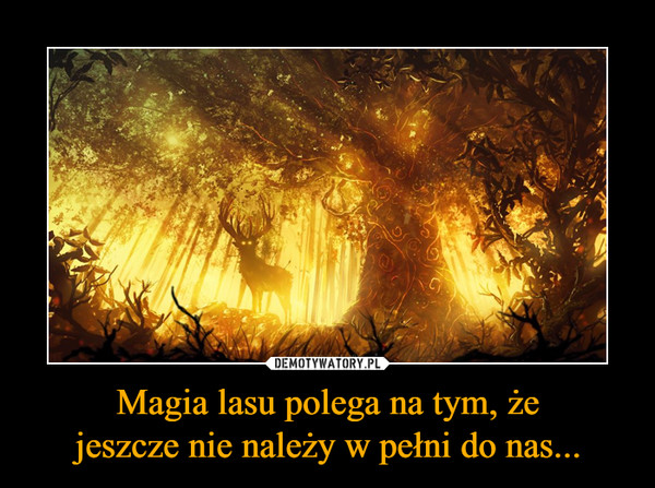 Magia lasu polega na tym, żejeszcze nie należy w pełni do nas... –  