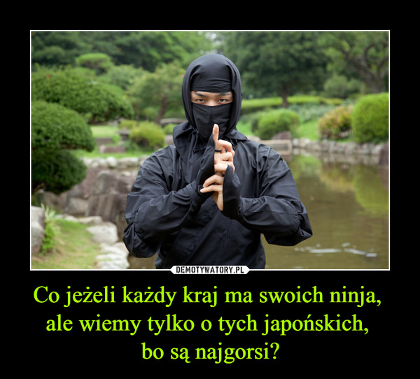 Co jeżeli każdy kraj ma swoich ninja, ale wiemy tylko o tych japońskich, bo są najgorsi? –  