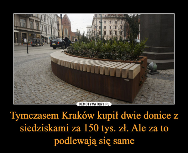 Tymczasem Kraków kupił dwie donice z siedziskami za 150 tys. zł. Ale za to podlewają się same –  
