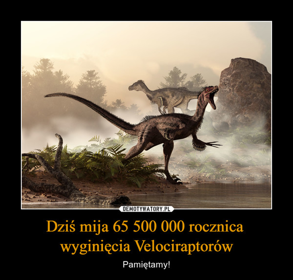 Dziś mija 65 500 000 rocznica 
wyginięcia Velociraptorów