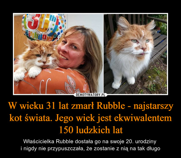 W wieku 31 lat zmarł Rubble - najstarszy kot świata. Jego wiek jest ekwiwalentem 150 ludzkich lat