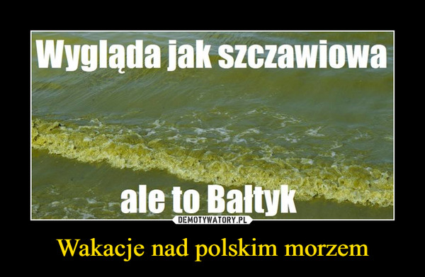 Wakacje nad polskim morzem –  Wygląda jak szczawiowa ale to Bałtyk