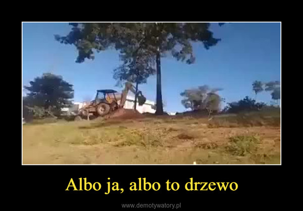 Albo ja, albo to drzewo –  