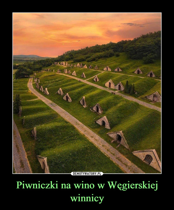 Piwniczki na wino w Węgierskiej winnicy –  