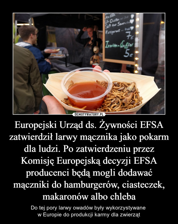 Europejski Urząd ds. Żywności EFSA zatwierdził larwy mącznika jako pokarm dla ludzi. Po zatwierdzeniu przez Komisję Europejską decyzji EFSA producenci będą mogli dodawać mączniki do hamburgerów, ciasteczek, makaronów albo chleba – Do tej pory larwy owadów były wykorzystywane w Europie do produkcji karmy dla zwierząt 