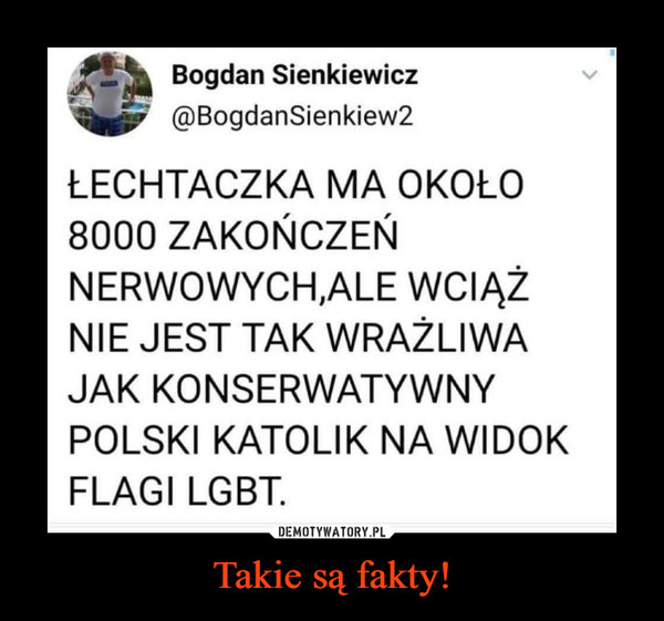 Takie są fakty! –  Bogdan Sienkiewicz@BogdanSienkiew2ŁECHTACZKA MA OKOŁO8000 ZAKOŃCZEŃNERWOWYCH.ALE WCIĄŻNIE JEST TAK WRAŻLIWAJAK KONSERWATYWNYPOLSKI KATOLIK NA WIDOKFLAGI LGBT.