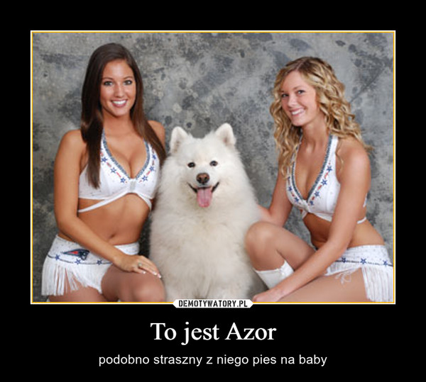 To jest Azor – podobno straszny z niego pies na baby 