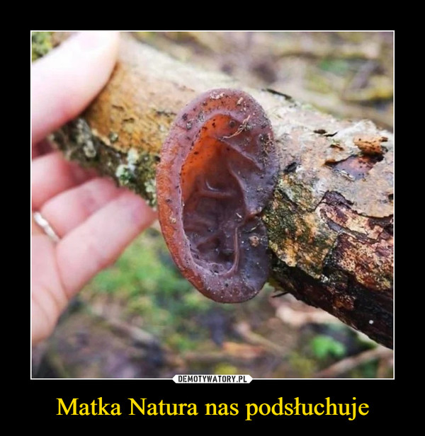 Matka Natura nas podsłuchuje –  