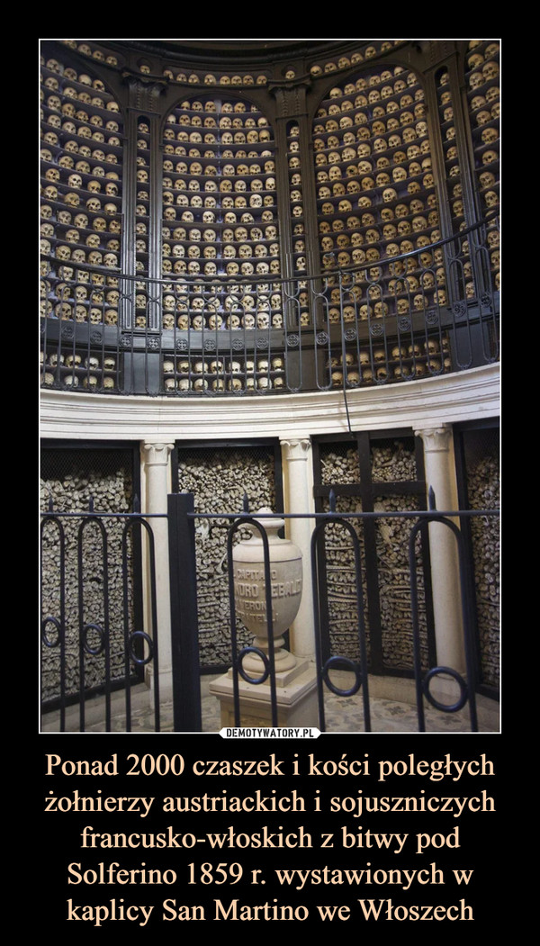 Ponad 2000 czaszek i kości poległych żołnierzy austriackich i sojuszniczych francusko-włoskich z bitwy pod Solferino 1859 r. wystawionych w kaplicy San Martino we Włoszech –  